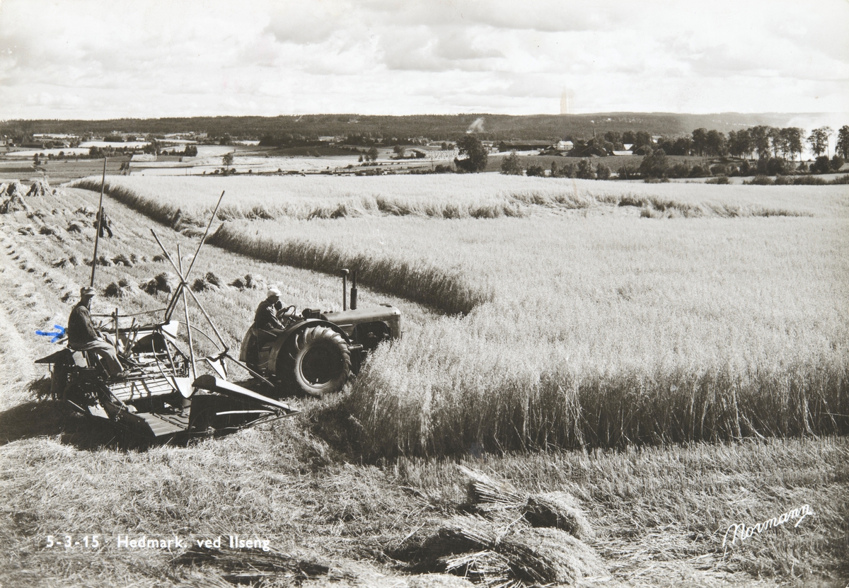 Postkort, Stange, antatt Godholen gård på Ilseng, innhøsting med traktor og selvbinder, kornsnes, kornåker,