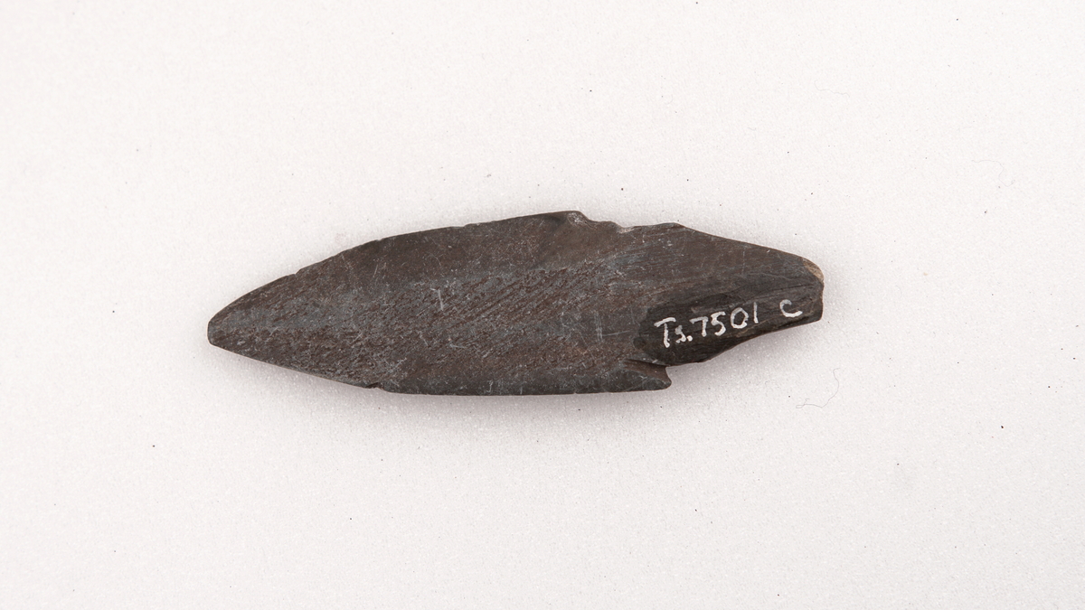 Pilespiss av gråblå skifer. Ligner G. Gjessing 1942 "Yngre stenalder i NordNorge" fig. 125 (til høyre) s. 163, men denne har små nedhengende mothaker som på hver side fortsetter oppover i et lite hakk. Tangen avbrukket på den ene siden. Avrundet, tilnærmet sekssidig tverrsnitt. L. 6,2 cm, derav bladet 4,5 cm. Bladets br. inntil 1,9 cm, tangens br. 1,0-1,8 cm. T. inntil 0,5 cm.