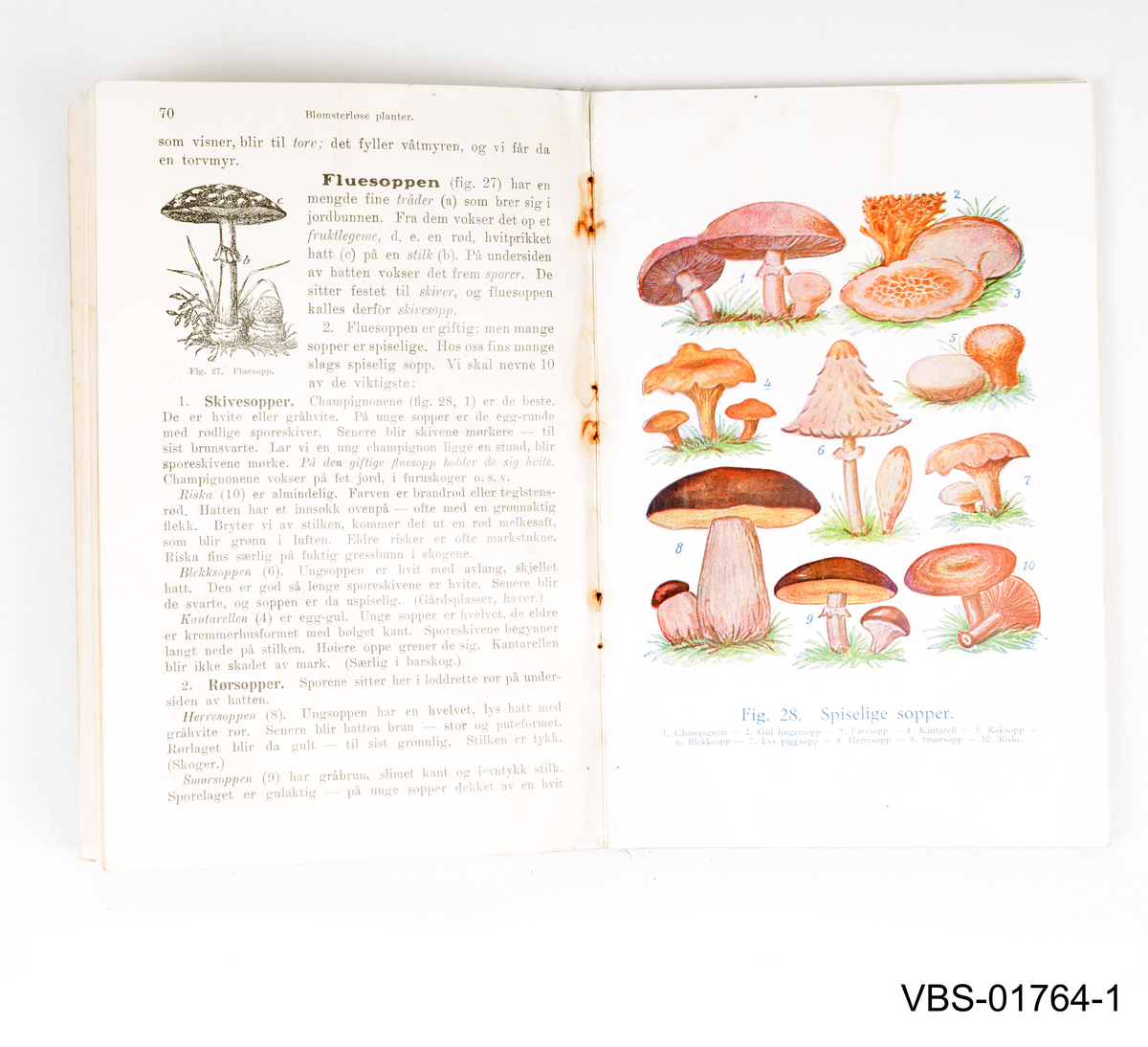 Naturkunnskap bok med tekst og illustrasjoner innvendig.
Innbundet bok med stoff dekkede omslag. 152 sider, utgitt og trykt i Oslo 1925.