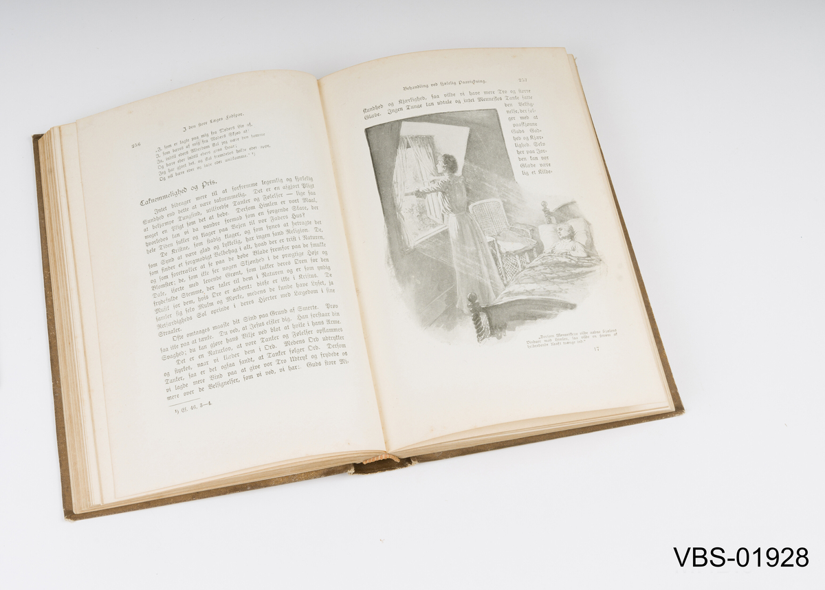 Bok med 543 sider, med gotisk skrift og illustrasjoner inni.
Boksomslag med bildet av en sykepleier og en pasient i rullestol på landskapet
Utgave i Kristiania 1915.