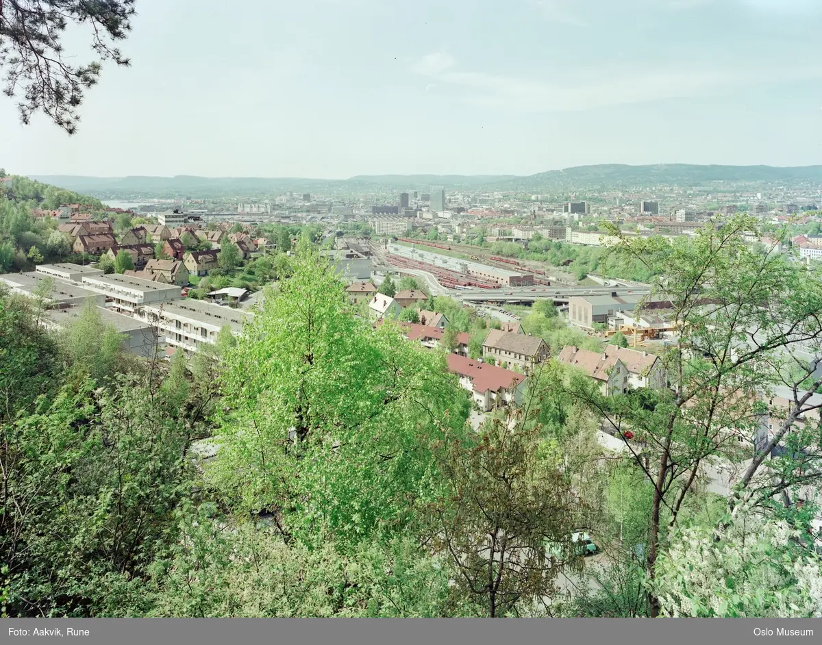 utsikt, løvskog, bebyggelse, bolighus, hageby, jernbane, tog