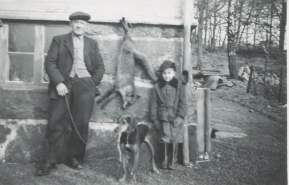 Kållered Stom "Nygård" cirka 1950. John Johansson och sonen Lars (född 1945) stoltserar framför bostadshuset där det hänger en nyskjuten räv på ytterväggen. Framför dem står en jakthund.
