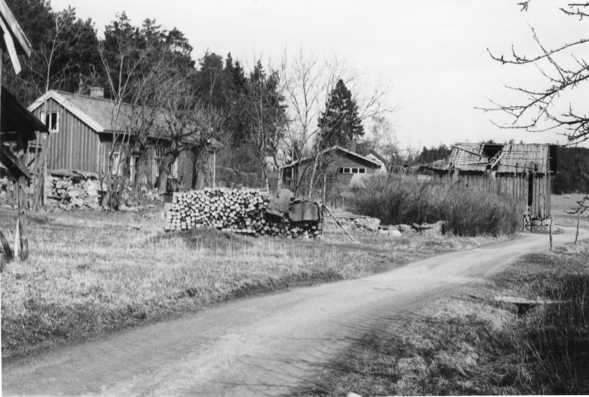 Ingår i dokumentation från 1982 av Guntofta 1:4, tidigare Börje Månsgård. Vy längs vägen mot Börje Nilsgård med en vedtrave i förgrunden.