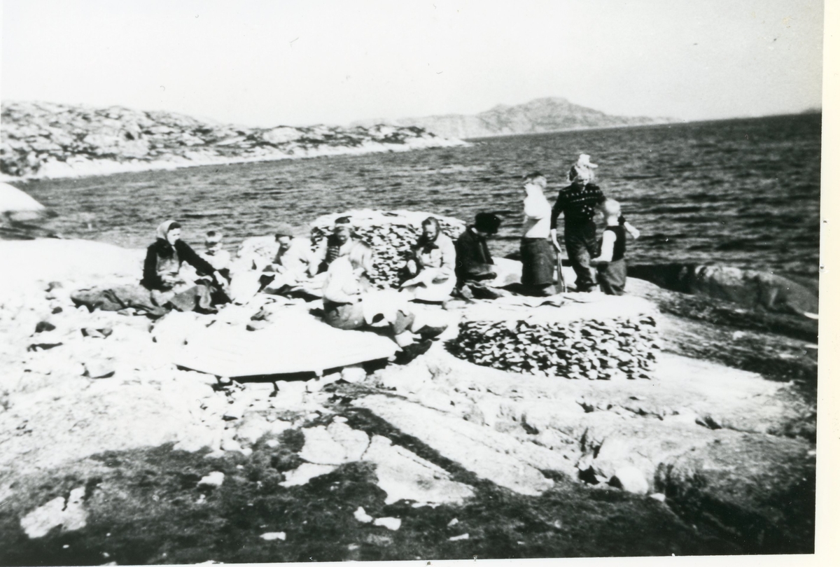 Folk i arbeid med rensking av klippfisk ute på svaberget i Fillfjorden, Hitra, ca. 1950.