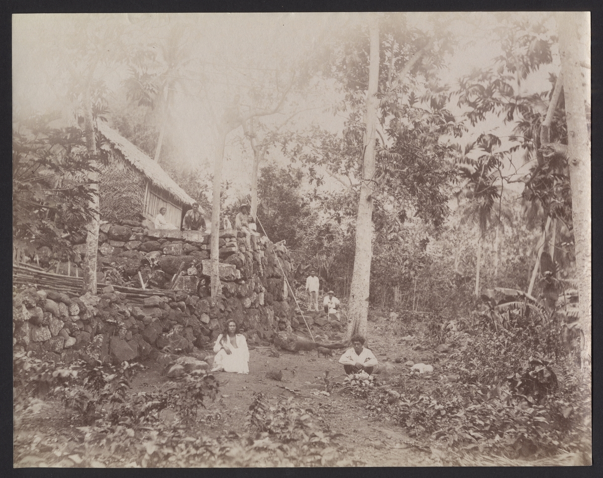 Bilden visar invånare på Nuku Hiva som har samlats runt en hydda som står på en stenterrass i skogen.