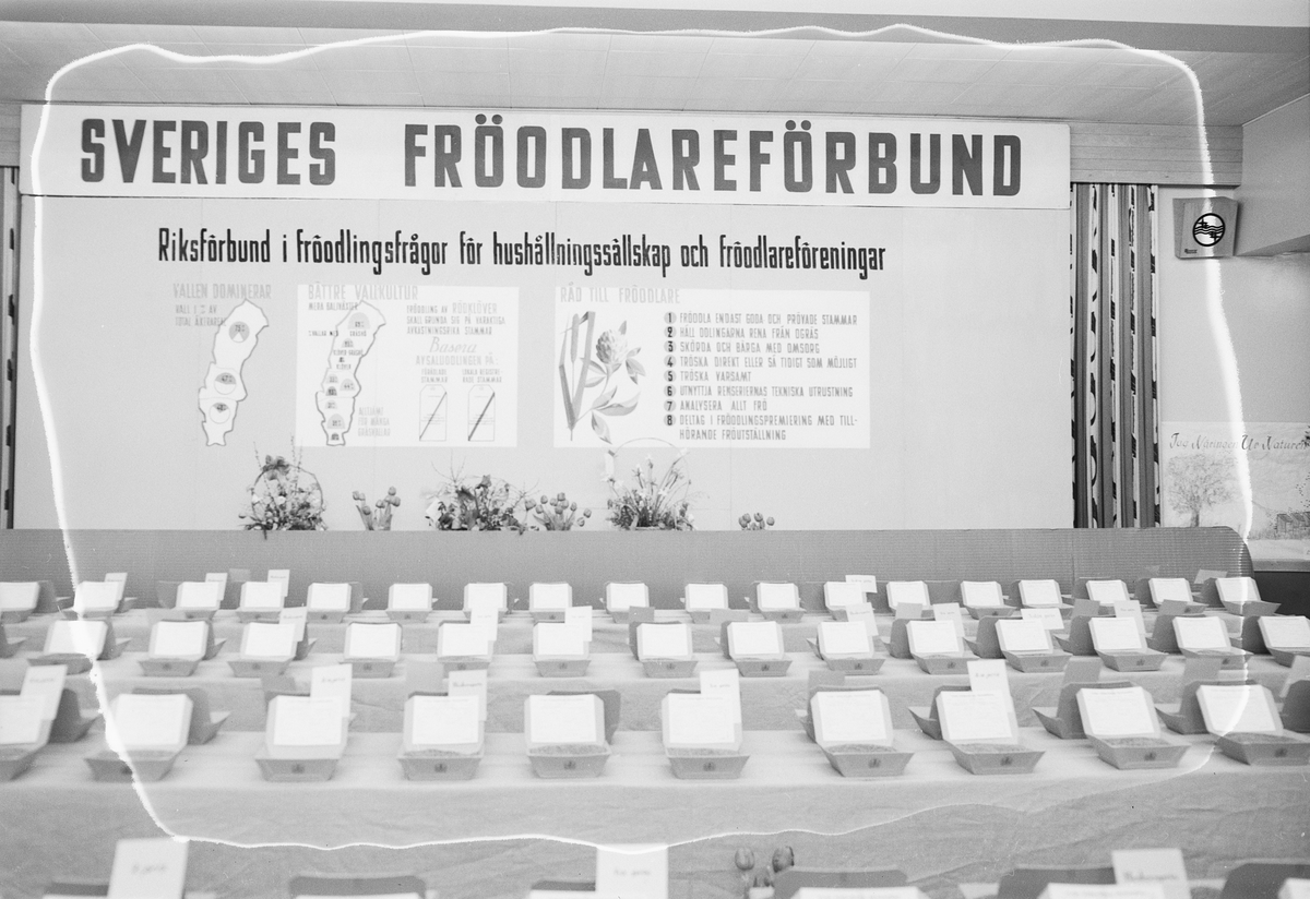 Hushållningssällskapets frömässa, Uppsala 1952
