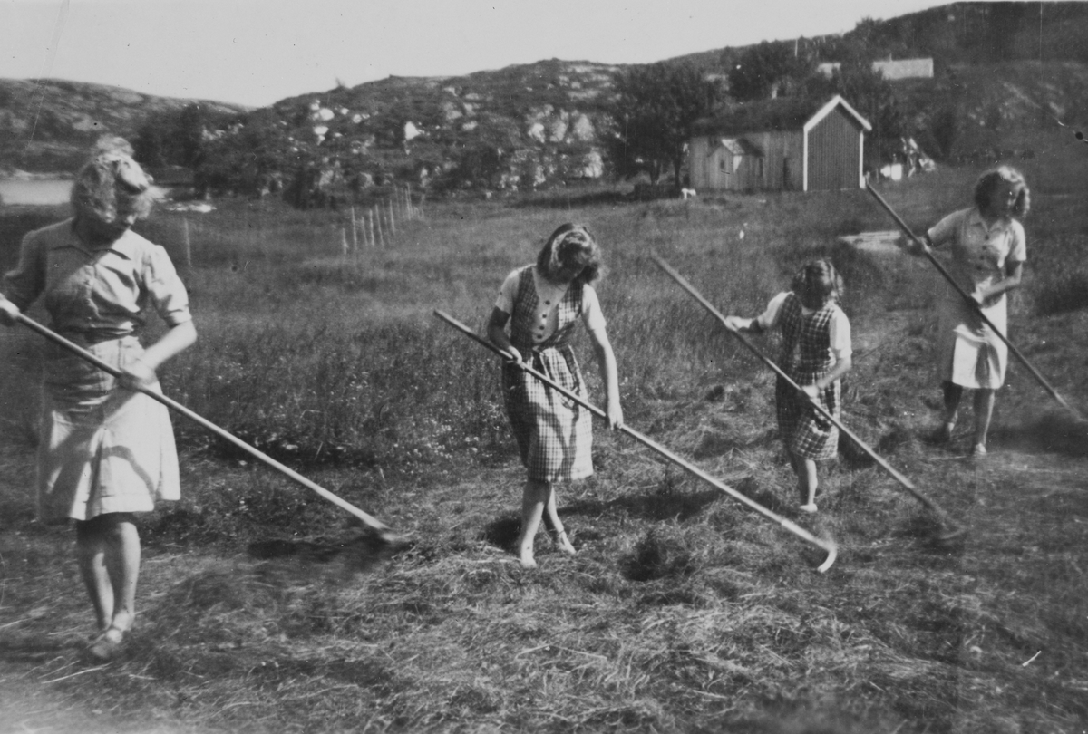 Børøysundet i 1939 : Høyet snues. "Raksterjenter" i arbeid.