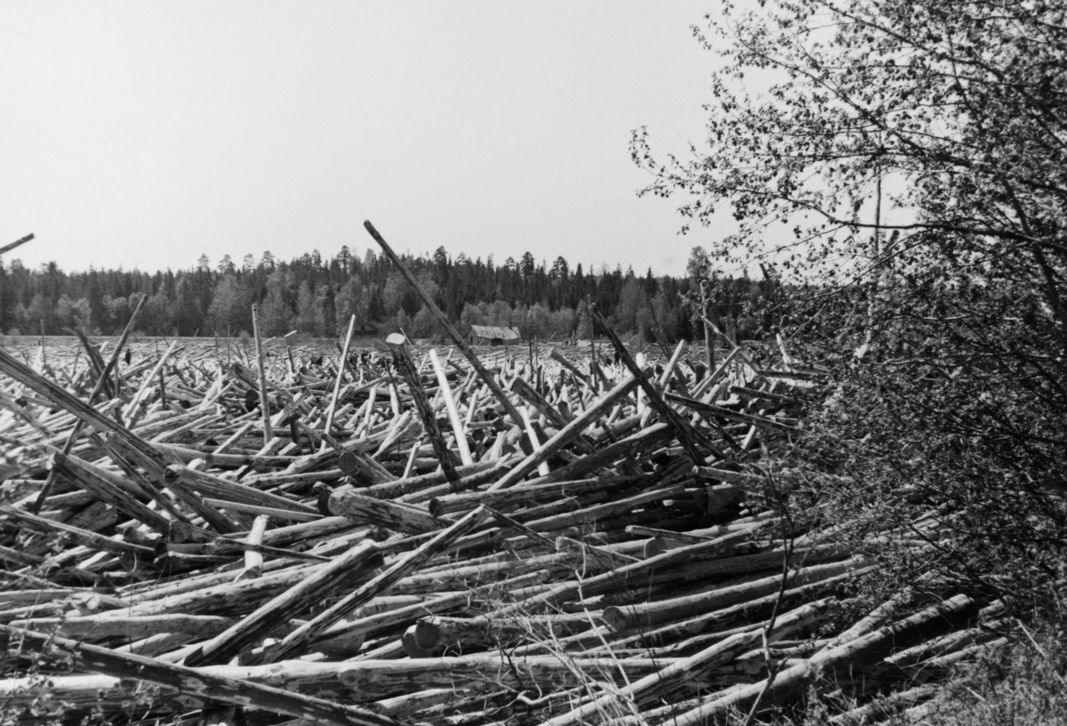 Såkalt «tømmersett» i Glomma ved Sæterstøa eller Seterstøa, i grensetraktene mellom Sør-Odal kommune i Hedmark og Nes kommune i Akershus, i andre halvdel av mai 1938. Bildet viser et stilleflytende elveløp som var helt fullpakket av tømmer på et sted der elva dreide ganske krapt fra en sørgående flytretning vestover mot Funnefossen. 

I 1938 var det mye tømmer i Glommavassdraget. Fløtingskvantumet hadde ikke vært så stort siden rekordåret 1921. Det var imidlertid en forholdsvis kjølig vår, og det drøyde med snøsmeltinga i fjelltraktene. Vannføringa nedover i vassdraget var følgelig moderat. Så kom det et par regnværsdager i den øvre delen av vassdraget. Dette utløste en hektisk utislagsaktivitet. Store tømmermengder kombinert med lav vannstand førte gjerne til at fløtingsvirket lett kunne sette seg fast. I slike situasjoner var elvetopografien ovenfor Funnefossen utsatt. Om morgenen 17. mai kunne de seks fløterne som da var på jobb konstatere at det var i ferd med å bygge seg opp en haug på motstrøms side av kraftverksdammen, og de måtte snart konstatere at det strømmet på med løstømmer som hektet seg fast i den nevnte haugen. Dette skjedde raskt, så karene hadde ikke kapasitet til å holde elveløpet åpent. Elveløpet ble fylt med tømmer, og «setten» vokste seg oppover i elveløpet, mot og etter hvert forbi sundstedet ved Seterstøa. Pressen anslo at den på det meste fylte en elvestrekning på om lag 2 kilometer. Glomma fellesfløting beordret utislagsstans, og fikk lagt ei lense over elva i Solør som skulle stanse tilsiget av stadig mer tømmer. Samtidig mobiliserte de mannskaper fra nabodistriktene, i første omgang 60-70 mann, etter hvert om lag 200. Likevel fortsatte opphopningen av tømmer lenge å vokse. Arbeiderpressen var opptatt av om fløterne fikk tilfredsstillende betalt for slitsomt og farefullt arbeid. Betalinga var, etter tidas norm, ikke verst, men for mannskapene fra Fetsund var det et irritasjonsmoment at satsene var like for alle. De fikk ingen ekstrabonus for erfaring og fagforeningsmedlemskap, og gikk derfor til streik. I mellomtida hadde kommet til erfarne fløtere fra Solør- og Odalsbygdene, og deres innsats later til å ha blitt et vendepunkt. Fløterne forsøkte å arbeide frigjøre tømmer i en kile fra den nedre enden av tømmerhaugen. Etter hvert som denne kilen med åpent vann i den sentrale delen av tømmerproppen ble stadig lengre ble det lettere å få tømmeret til å løsne. Det skjedde uten skade på det nedenforliggende kraftverket. Etter cirka halvannen uke var det verste over, og fløtingsinspektør Olaf Engelhart Greni (1891-1958) kunne sende slitne mannskaper fra andre distrikter hjem.