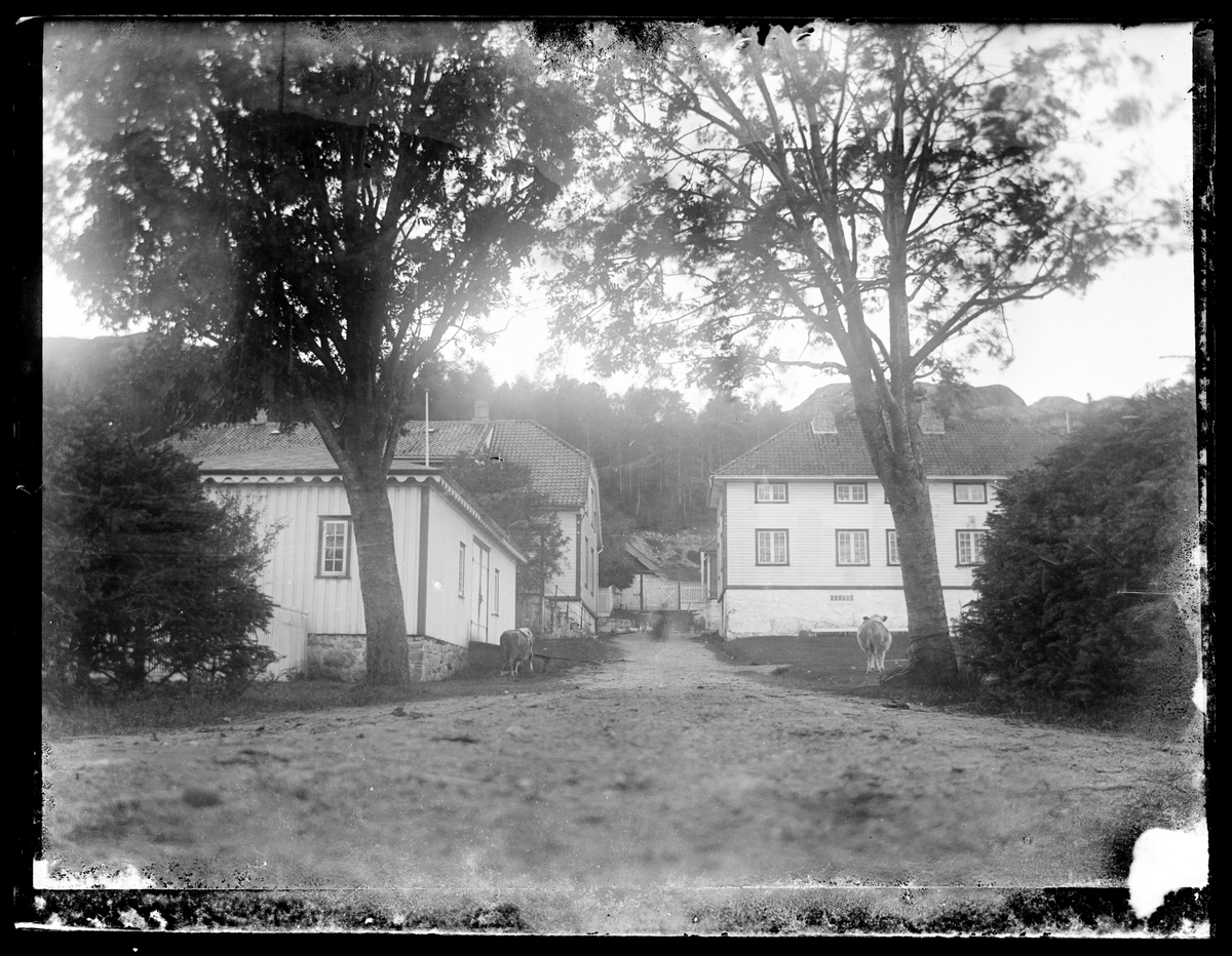 Bøes landsted på Slettebø, tidligere sorenskriver Christian Feyers gård