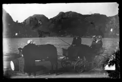 To passasjerer og kusk i vogn på dampskipskaien i Rekefjord