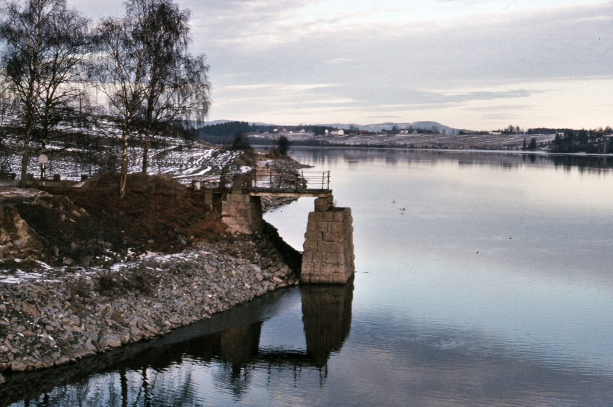 Glomma ved Årnes, sett fra vestre bredd