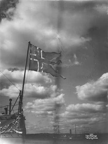 Prot: Skyparti - Norske Flag Marinen 8/5 1905