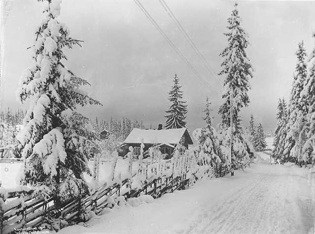 Prot: Vinter - Veiparti med liten gård Urskog 11/1 1906
