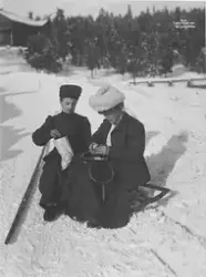 Prot: Vinter - Rypesekken åpnes frk. de Flong ? 19/2 1906