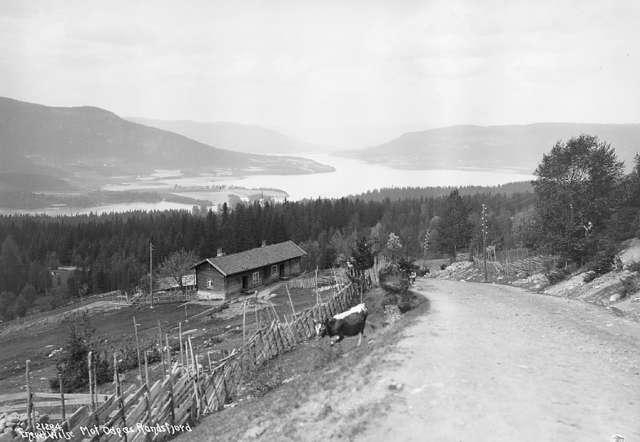 Prot: Randsfjord mod Odnæs
