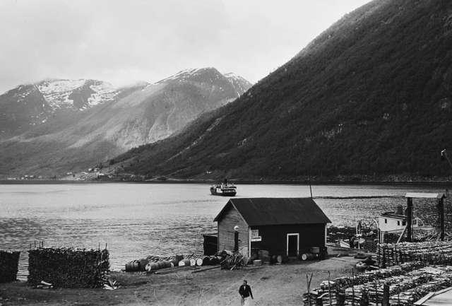 Prot:  Ulvestad fergested Vetlefjorden