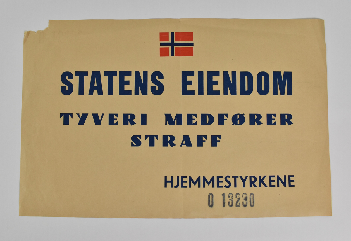 Det norske flagget prydar plakaten i midten øverst.