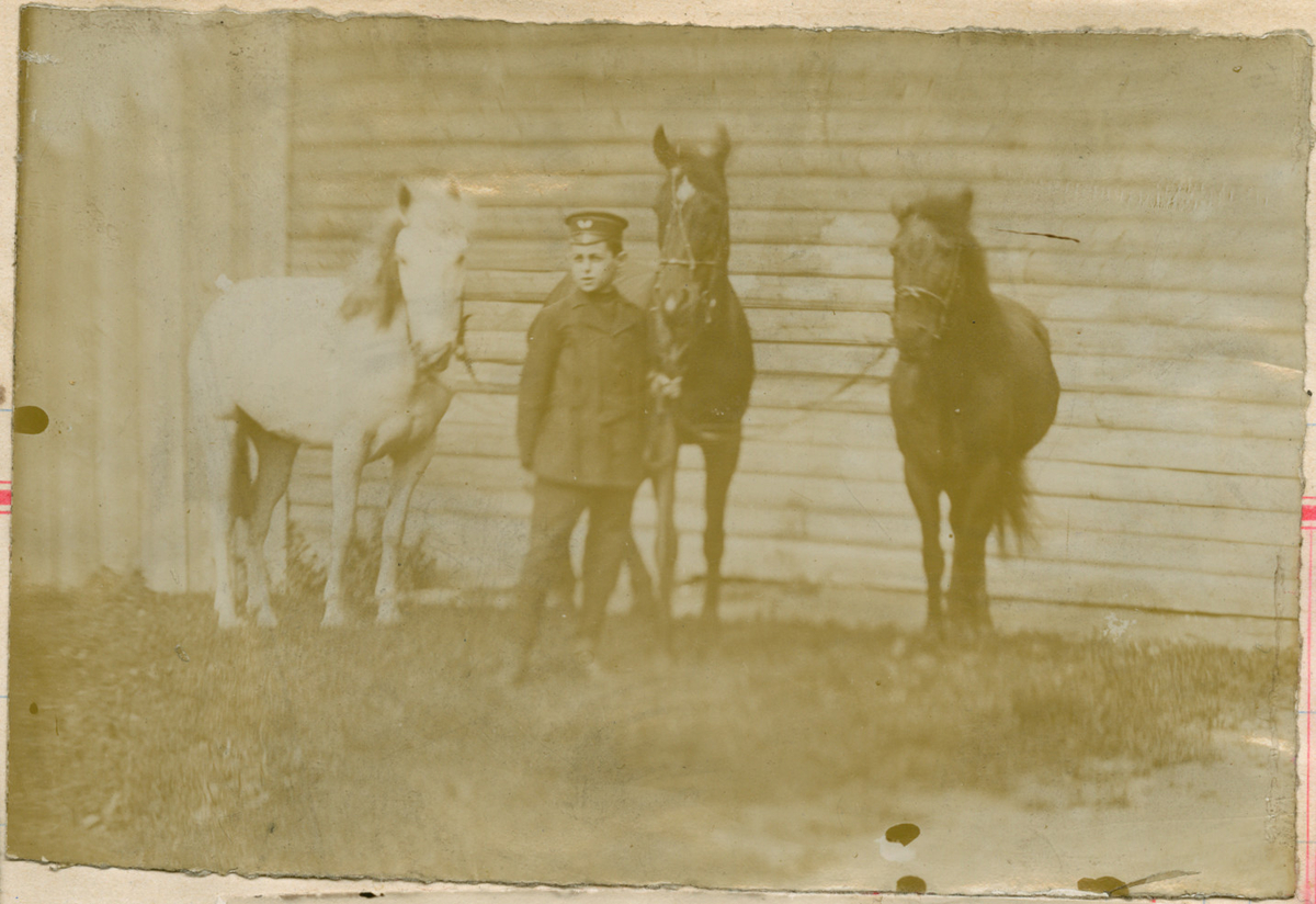 Motivet viser en ung mann som leier tre hester. Trolig befinner de seg foran en stall. En av hestene er hvit og de andre er mørke.