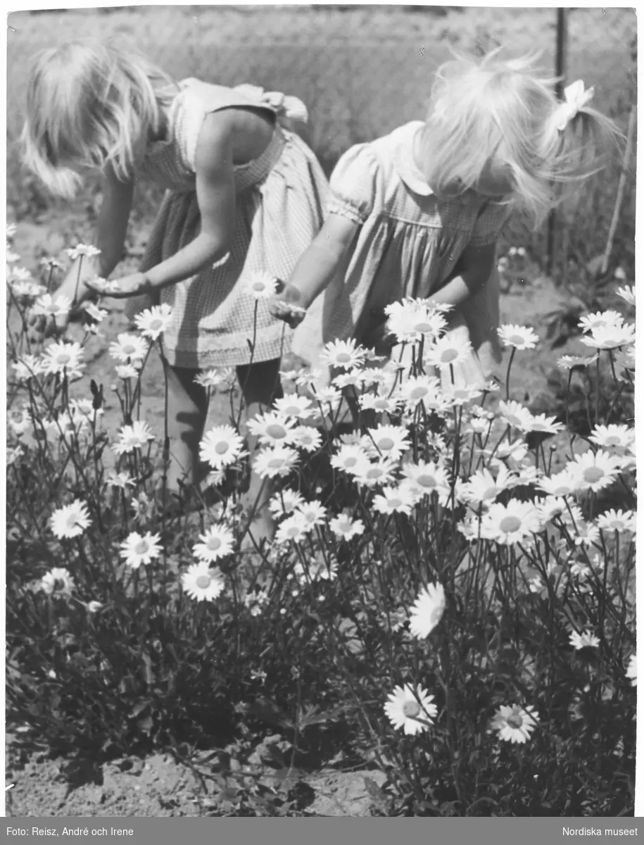 Två flickor plockar blommor i en rabatt.