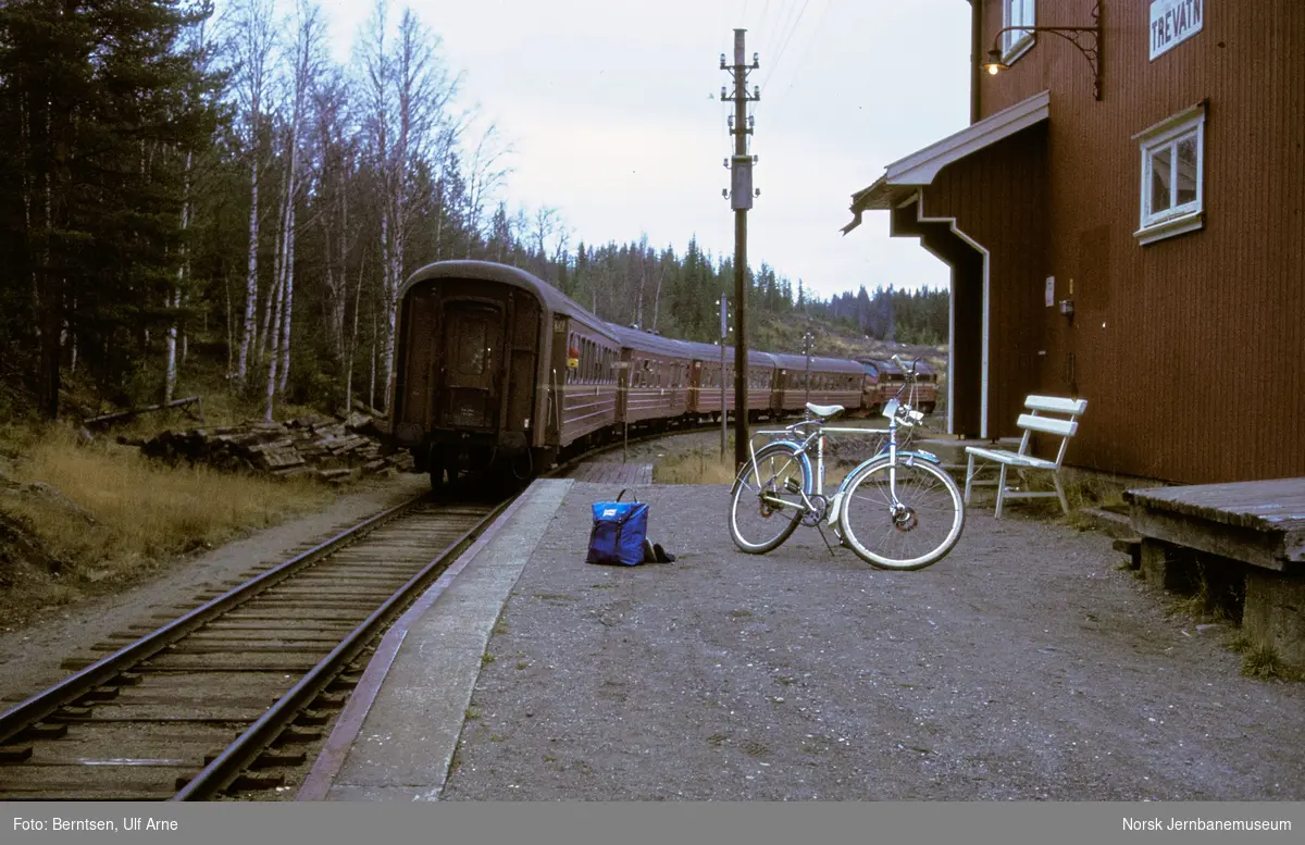 Diesellokomotiv Di 3 med persontog til Fagernes, tog 281, på Trevatn holdeplass på Valdresbanen