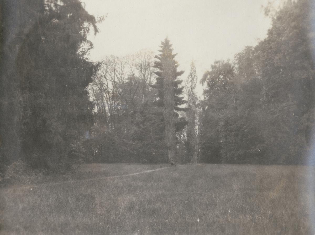 Text i fotoalbum: "April 1918. Moloezki, parken."