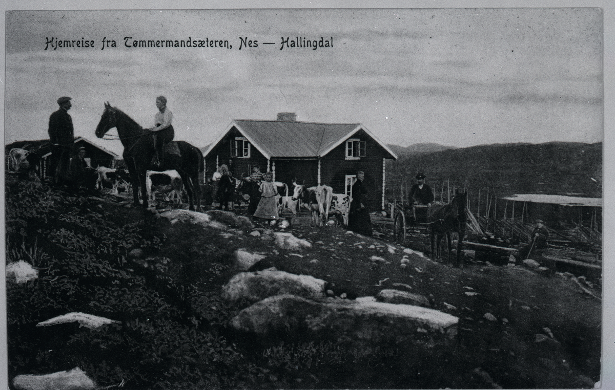 Hjemreise fra Tømmermanssæteren
På bilde ses en rytter, en mann med hest og vogn, barn og kvinner i bakgrunn
