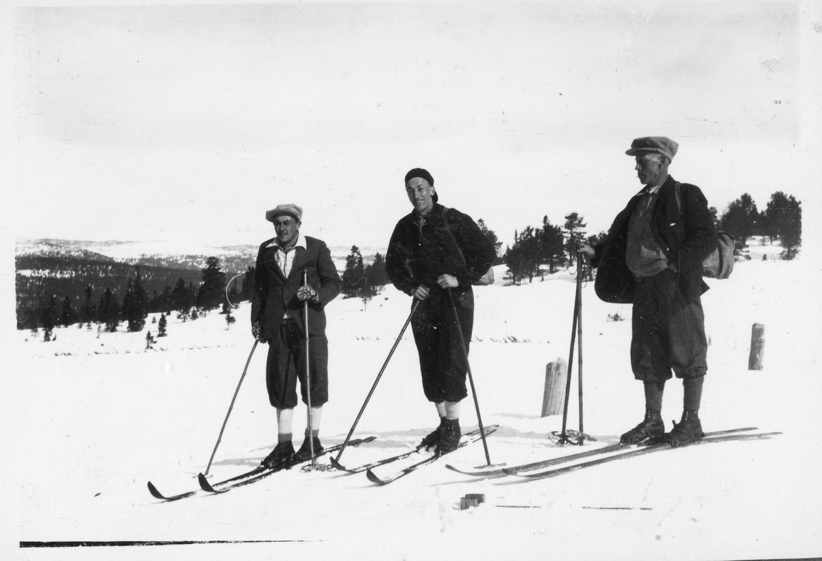 3 menn på ski, påsken 1931
3 menn på ski Helt til V. Andres Haraldset
