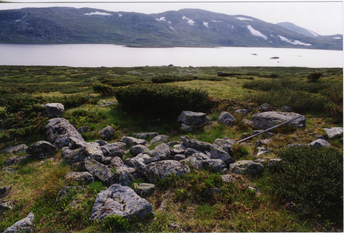 Hallingdals prosjektet. Registrering og utgraving på Ålsfjellet
