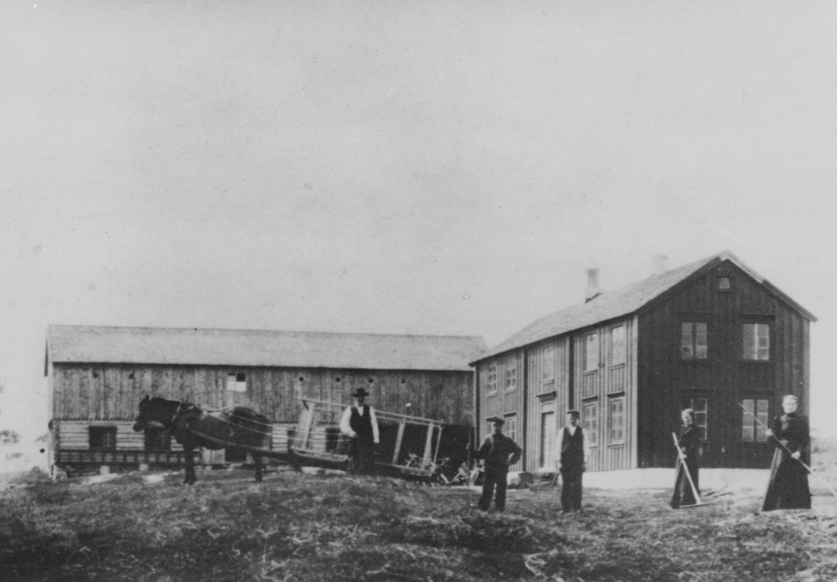 Slåtton ved Sørstrand gård, Hestvika, Hitra. Bilde tatt rundt århundreskiftet.