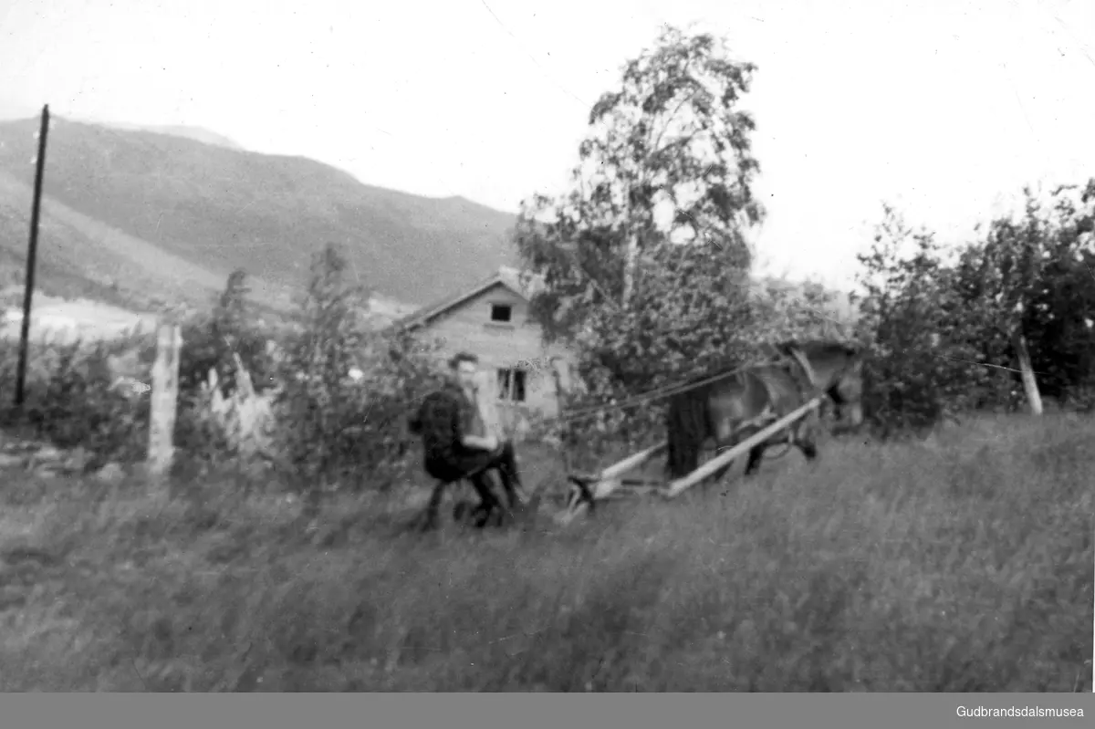 Jon Skriden (f. 1936) køyrer hesteslåmaskin