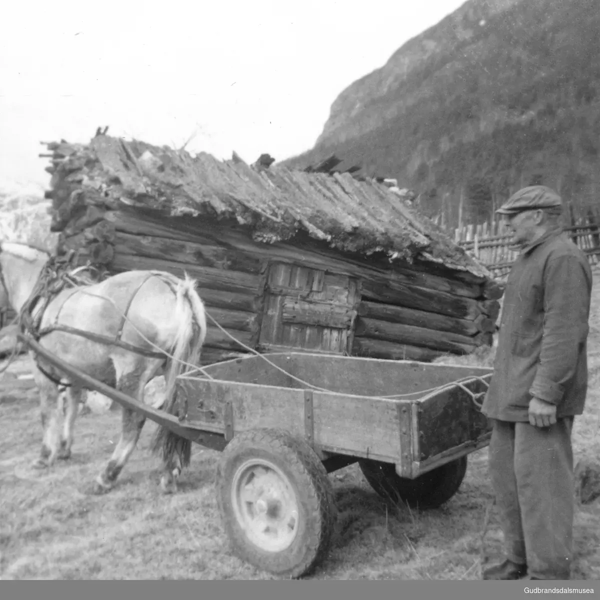 Sigurd Hole (f. 1903) med hest og kjerre ved eir gamalt hus på nordre Hole