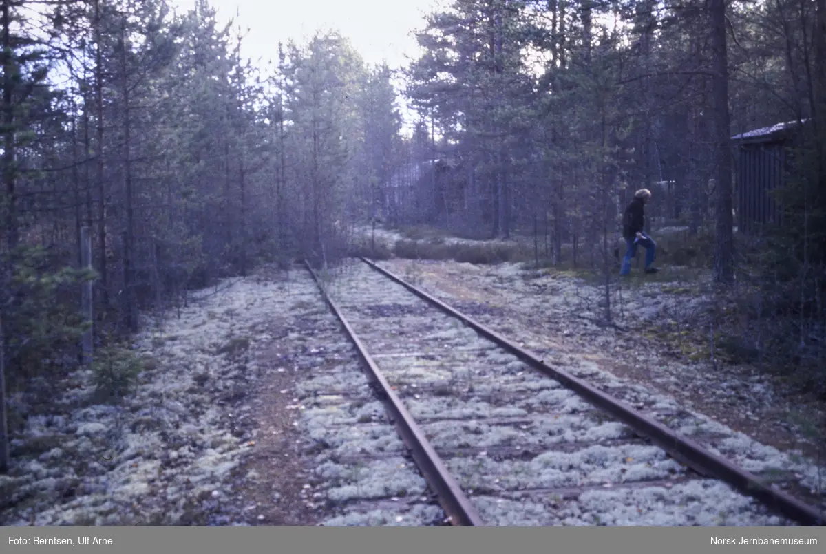 Sidespor i Gropa grustak mellom Skotterud og Magnor stasjoner på Kongsvingerbanen