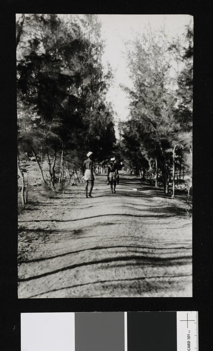 To menn på en grusvei. Fotografi tatt i forbindelse med Elisabeth Meyers reise til India 1932-33.