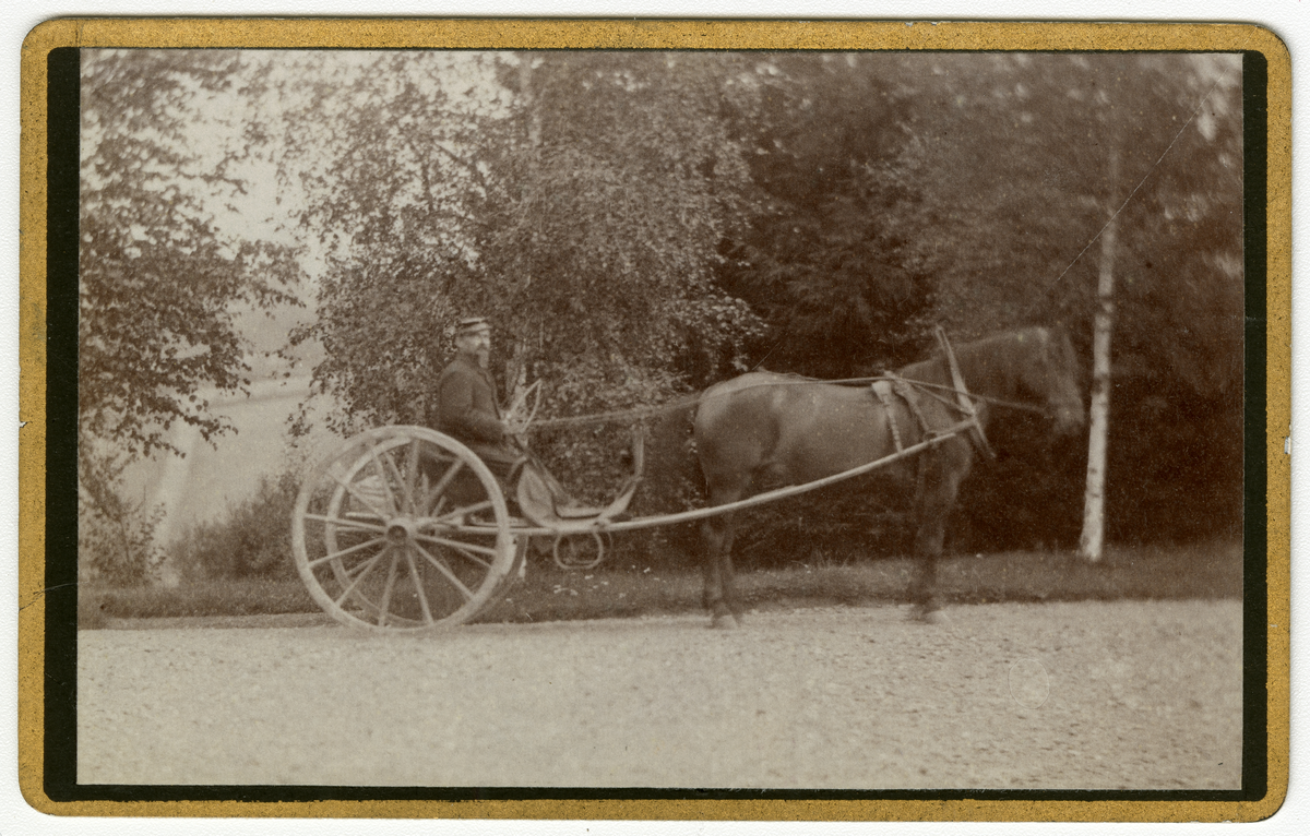 Foto av mann i militæruniform i vogn. Foto er antagelig tatt på Dal gård på slutten av 1870-tallet eller tidlig 1880-tallet