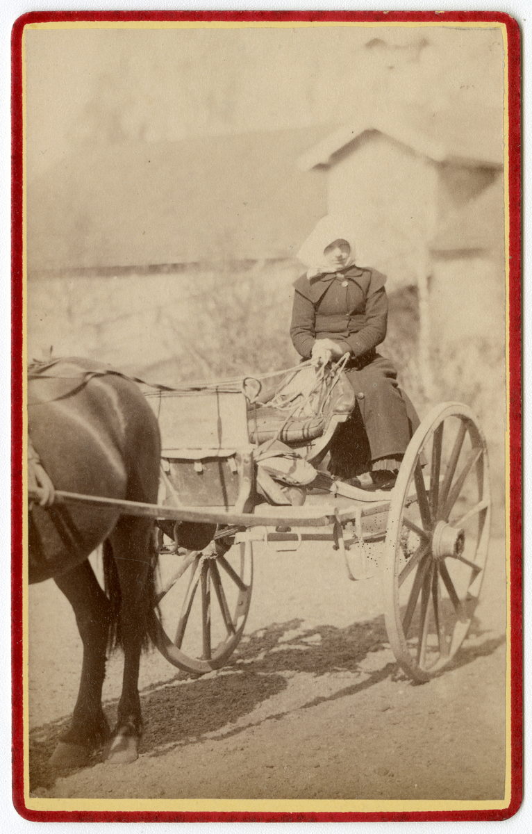 Muligens en tjenestepike eller gårdsarbeider på Dal gård, trolig tidlig 1880-tallet