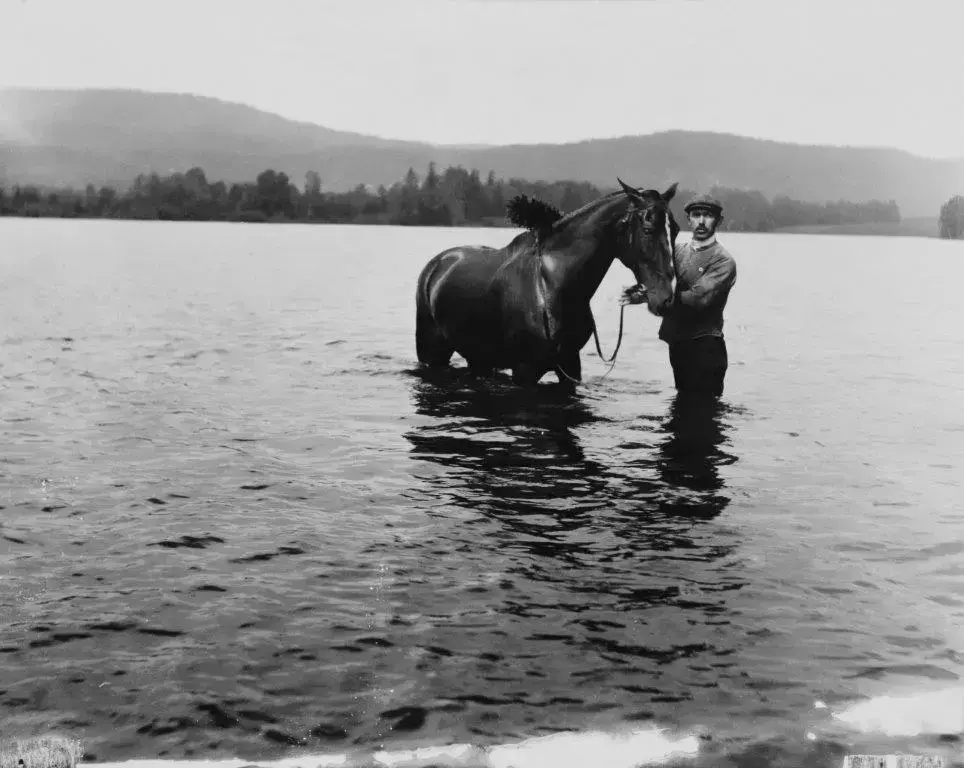 En mann med hest står ute i vannet.