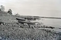 Hamar, Koigen, robåter på stranda, mjøsbåten D/S Hamar ligge