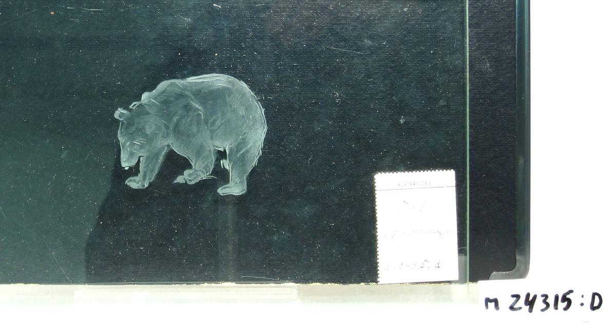 Glasskiva med graveringsprov föreställande en björn.