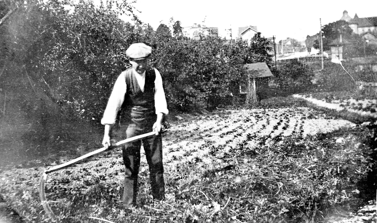 Trädgårdsarbete vid Sofieberg