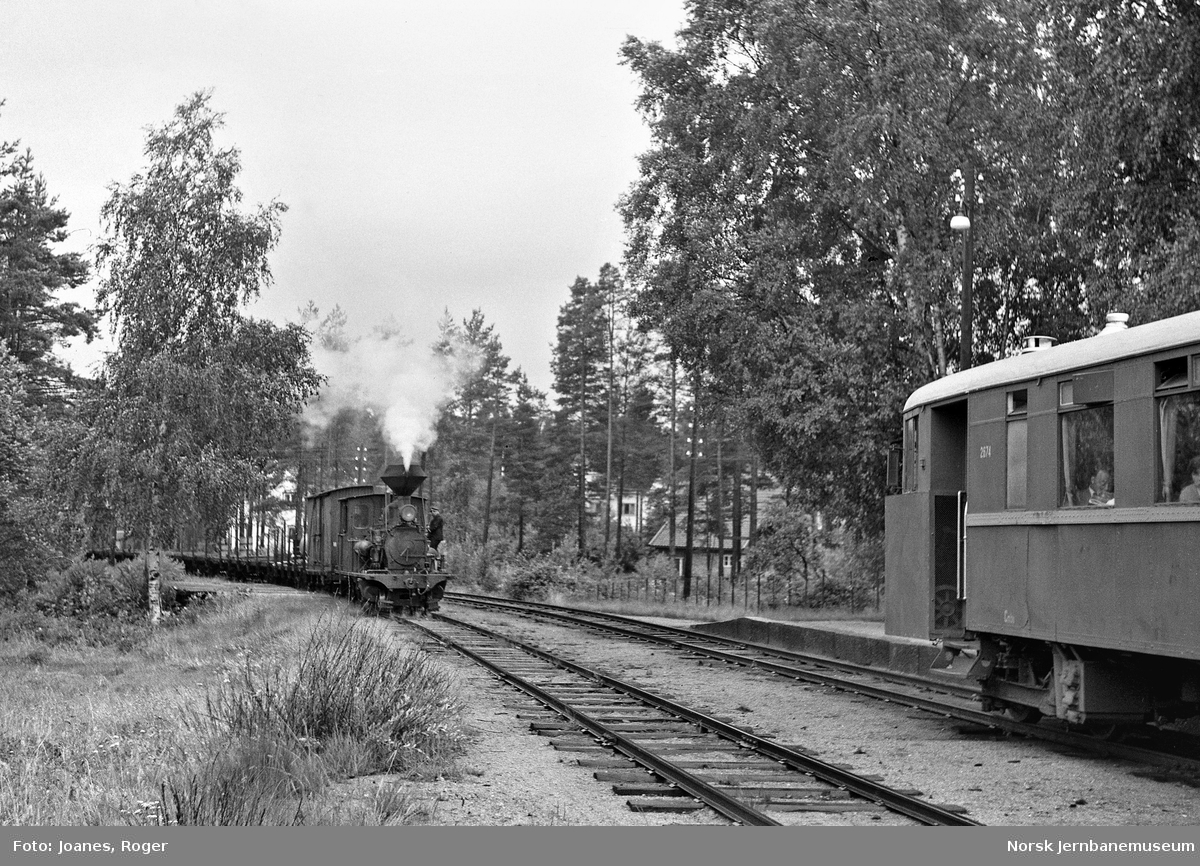 Kryssing på Hornnes stasjon mellom blandet tog til Byglandsfjord og persontog til Grovane. Det blandete toget trekkes av damplok type XXI nr. 2. I persontoget bensinmotorvogn Bmbo 1 nr. 2674.