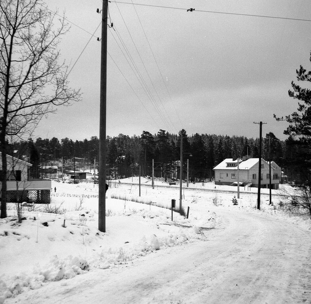 Bilden tagen från, dåvarande, Flottiljvägen när Flottiljvägen gick hela vägen fram till Näsbyparks station.
Vindskyddet ses till vänster om närmaste elstolpe, bakom vindskyddet Djursholmsvägen.
I villan till höger i bild fanns en fiskaffär.
Till vänster om vindskyddet ligger Sjötullstugan. ; Tullhus O DvT och tidigare ryttarstuga, även benämnt Näsby Ryttarstuga. och Sjötullsstugan. Nedbränt 1963. Namnet Sjötullstugan tyder på att det funnits en tullstation för resenärer via Stora Värtan.
Källor: Hfl och THF skrift nr 16 sid 108, nr 20 sid 42, nr 23 sid 21, nr 26 sid 56, 57, 63,73,74 och 134.
Hfl 1890-95: torparen Abraham Englund f. 1812 med hustru, ett barn, ett barnbarn och två fosterbarn. ::