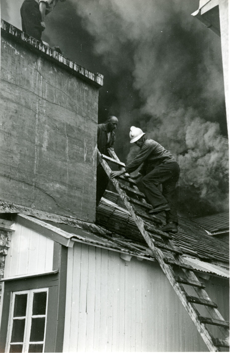 Brannmenn arbeider med å slukke brannen på Neptun Sildoljefabrikk i 1946