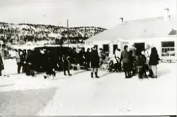 Ulvejakten i 1949, deltagerne med flere samles bak beltebile