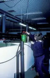 Tex-Fisk A/S : En person fyller fiskemat i fôrautomaten ved 