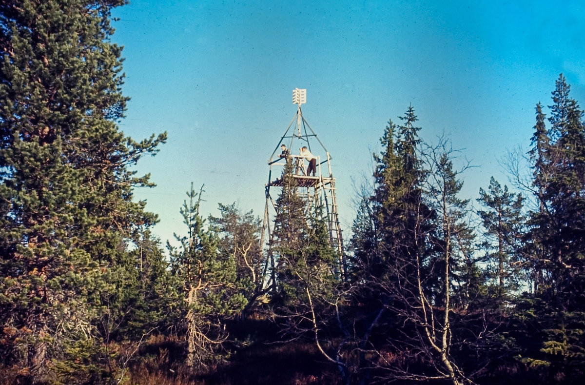 Oppmålingstårn på høyden østenfor Reinesetra, Hajern.
Utsikt til Botne og Oslofjorden.