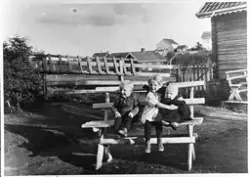Tre barn på en krakk på Skartnettum i Østre Toten året 1922.