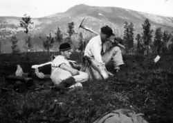 To menn på skogplanting i Kvæfjord.