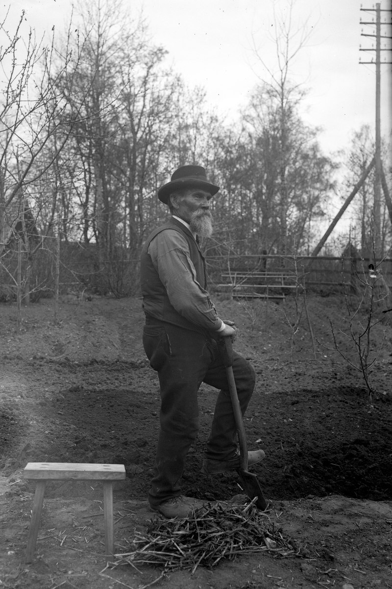 Brämberg gräver i sin trädgård