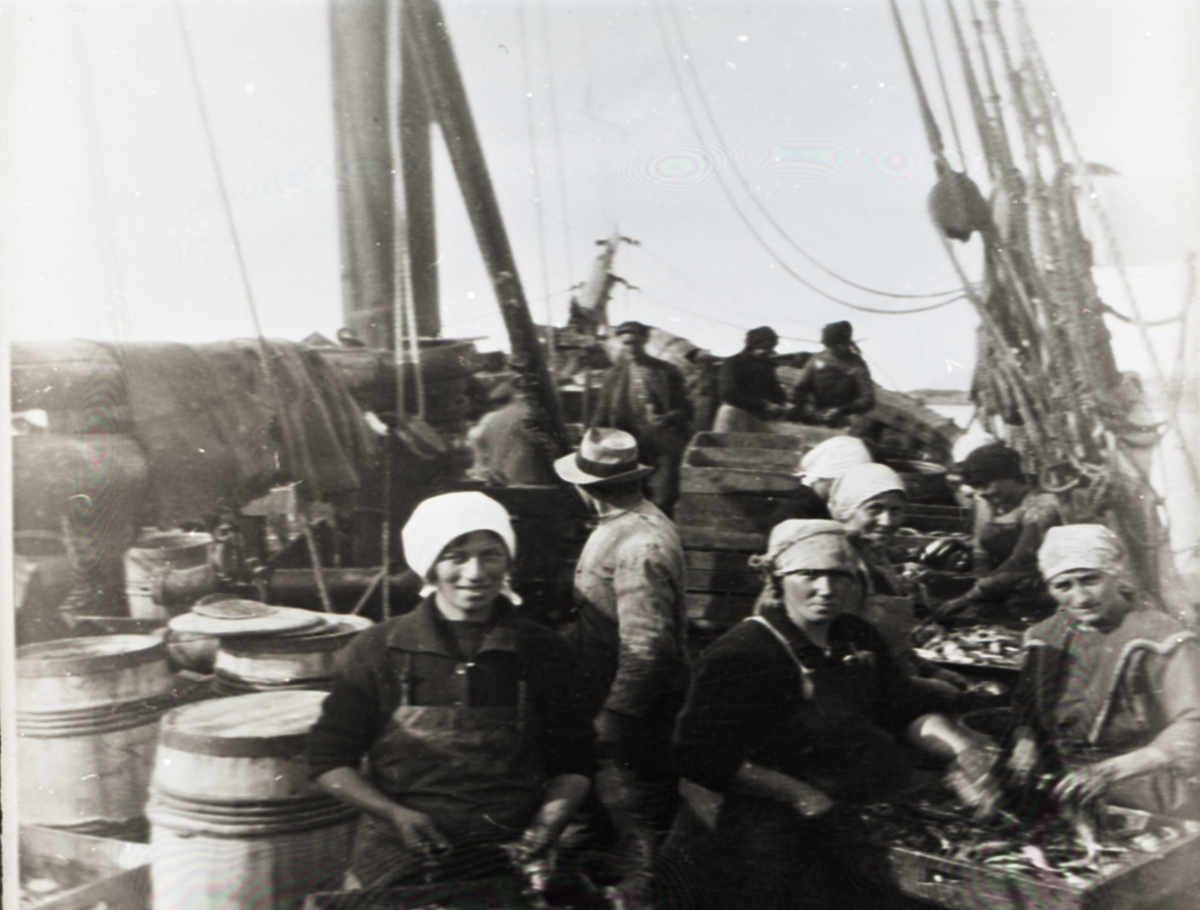 Kvinner ombord i båt jobber med sildeverking