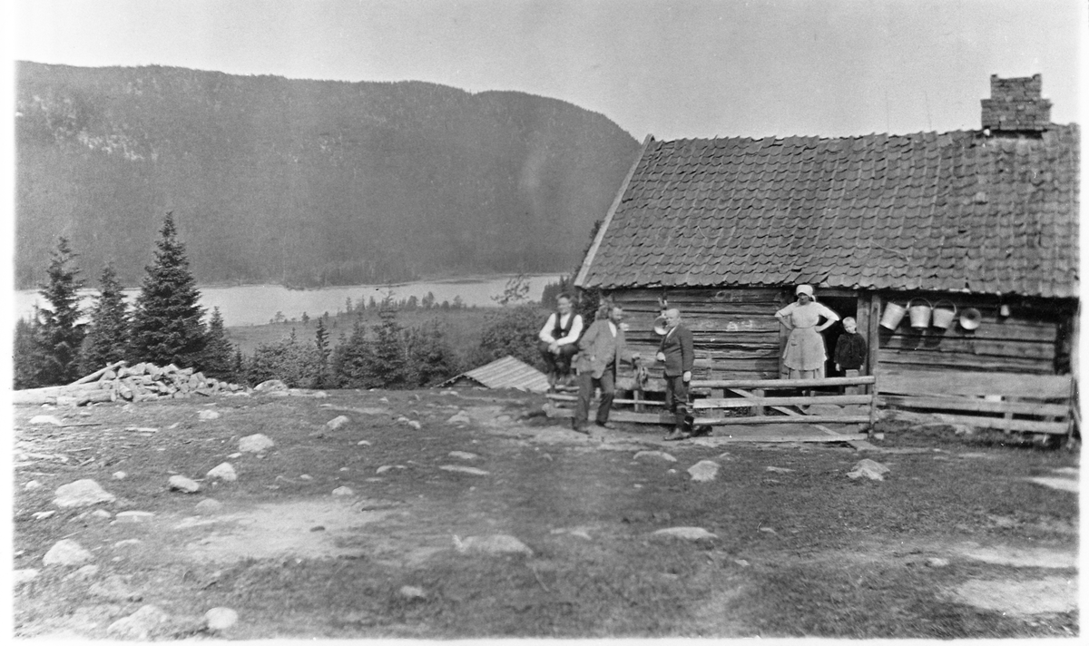Fra Øvre Brennsætra på Totenåsen. Personene foran størhuset er Johannes Nergård, Berent Johannesen, ukjent, Petra og Ole Eklund.